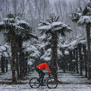 Hotel Carlemany cazare Girona