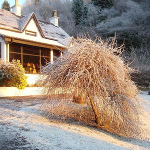 Hotel Corriegour Lodge cazare Spean Bridge