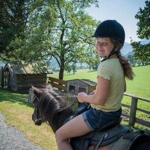 Hotel Pension Schmiderer cazare Saalfelden am Steinernen Meer