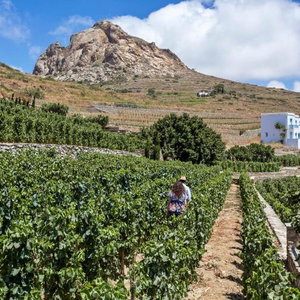 Sejur Crossroads Inn vacanta Tinos