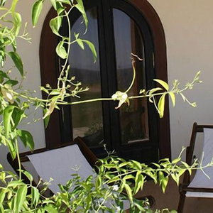 Hotel Dahab Paradise cazare Dahab