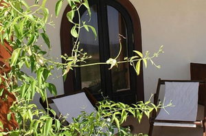 Hotel Dahab Paradise cazare Dahab