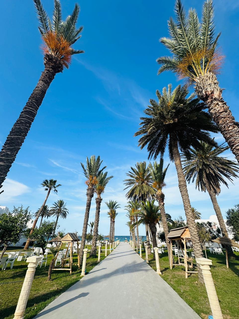 dal travel Best Beach Hotel