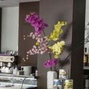 Sejur Hotel Montesol Benidorm vacanta Benidorm