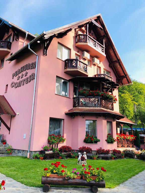 Hotel Pensiunea Contesa