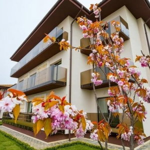 Hotel Popasul Pescarilor cazare Olimp