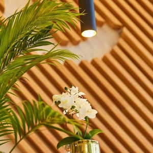 Hotel The Cabin Hotel cazare Accra