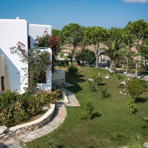 Hotel Asteras Paradise cazare Paros