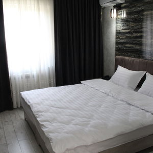 Hotel Artist Regency Hotel cazare Tashkent