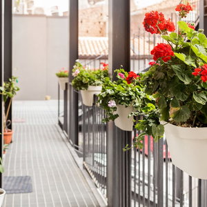 Hotel Scuto Home cazare Catania