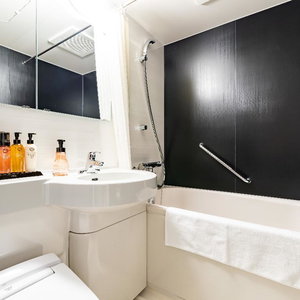Hotel Ibis Styles Tokyo Ginza East cazare Tokyo