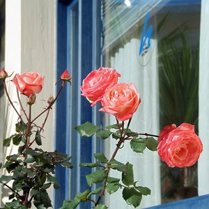 Hotel Kalafati cazare Itea