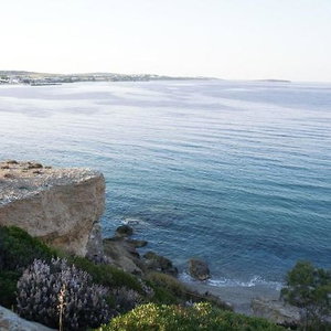 Hotel Amalgam Homes Paros cazare Paros