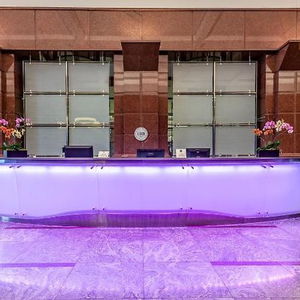 Hotel The Buckingham Hotel cazare Chicago