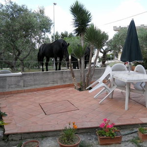 Hotel Le Sorbole cazare Matera