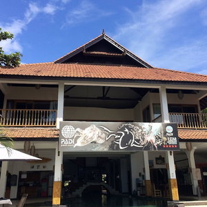 Hotel Lutwala Dive Bungalows cazare Gili Trawangan