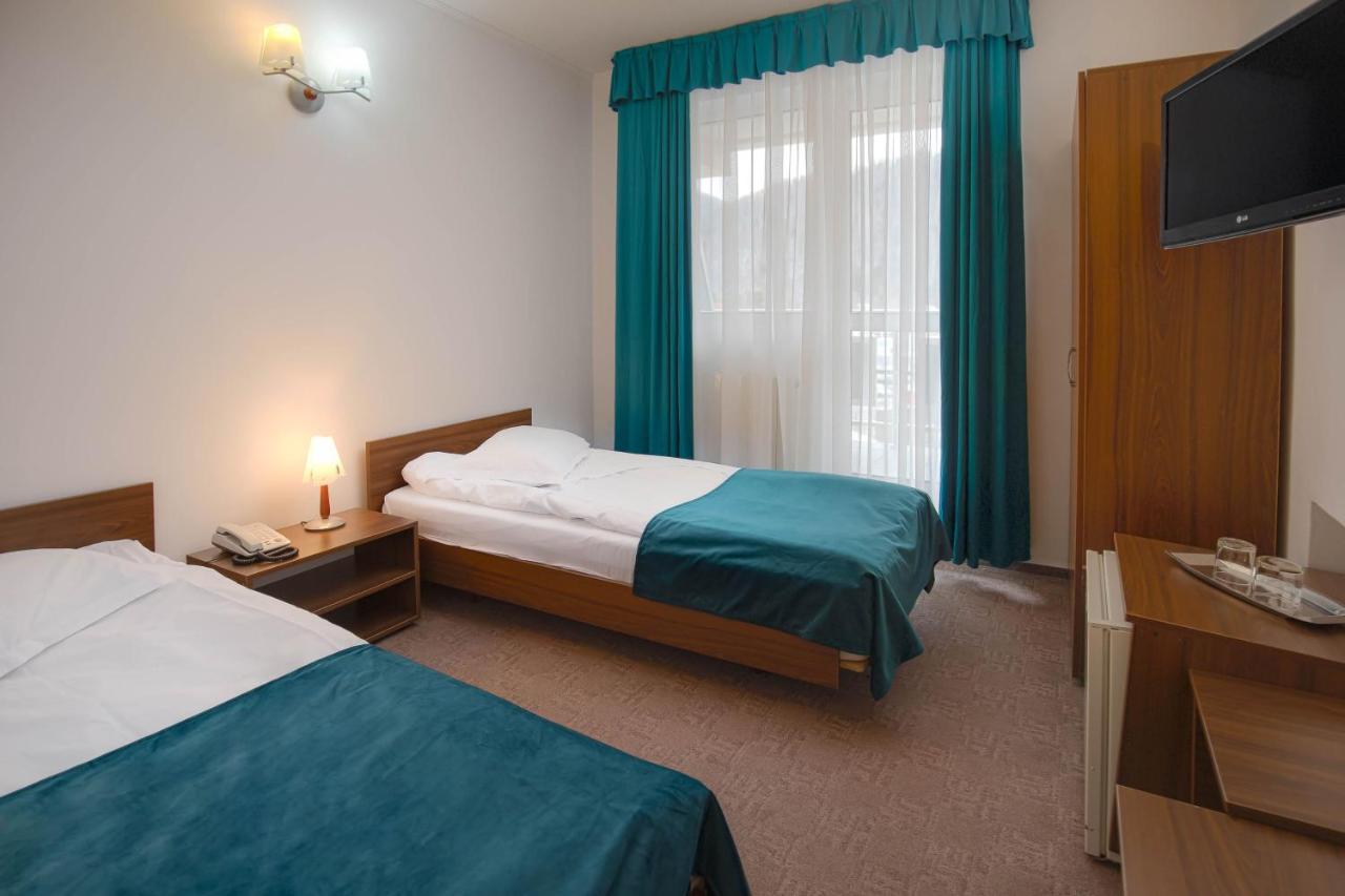 Hotel Alexandros Busteni