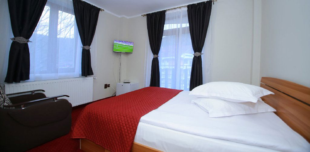 Hotel Pensiunea Elemar