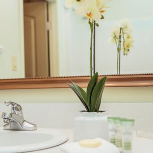 Hotel Service Plus Inns And Suites Calgary cazare Calgary