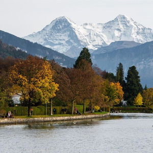 Hotel Holiday cazare Thun