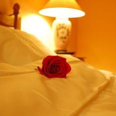 Hotel Bucharest Boutique Accommodation cazare Bucuresti