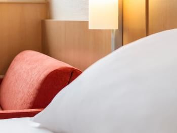 Hotel Ibis Lyon Gerland Rue Merieux