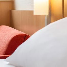 Hotel Ibis Lyon Gerland Rue Merieux cazare Lyon