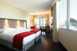 Hotel Nh Lyon Airport cazare Lyon