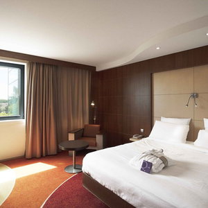 Hotel Mercure Toulouse Centre Compans Hotel cazare Toulouse