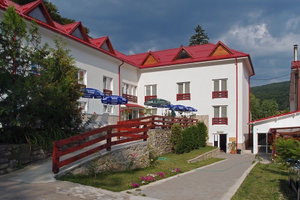 Hotel Hotel Domnitei cazare Calimanesti-Caciulata