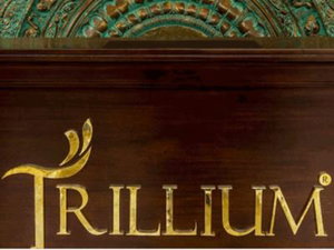 Hotel Trillium Hotel cazare Colombo