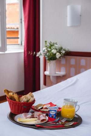 Hotel Hôtel Ours Blanc Centre cazare Toulouse