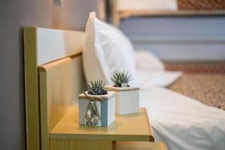 Hotel Hotel Adria Mare