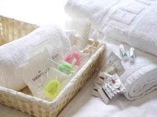 Hotel Mystays Fukuoka Tenjin