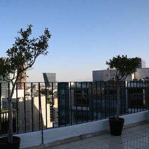 Hotel St. Isidro Corporate Housing cazare Mexico City