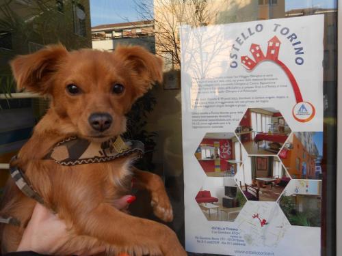 Hotel Ostello Torino