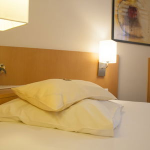 Hotel Zum Adler cazare Bonn