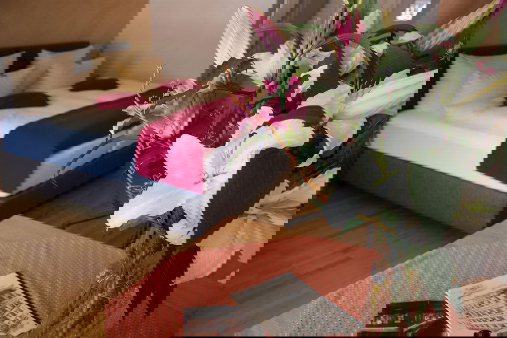 Hotel Goldener Falke