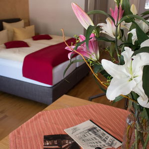 Hotel Goldener Falke cazare Heidelberg