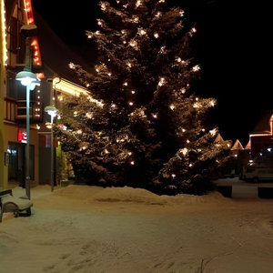 Hotel Pension Stern cazare Bad Buchau