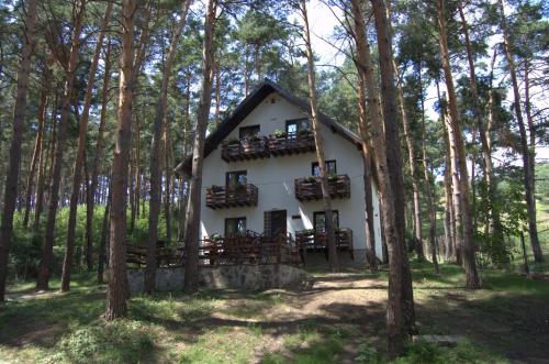 Hotel Complex Parc Pini Moinesti