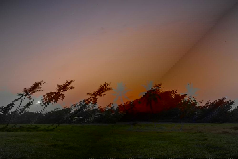 Hotel Green View Homestay