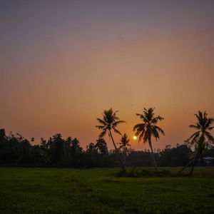 Hotel Green View Homestay cazare Galle