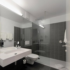 Hotel Hotel De La Source cazare Yverdon-les-Bains