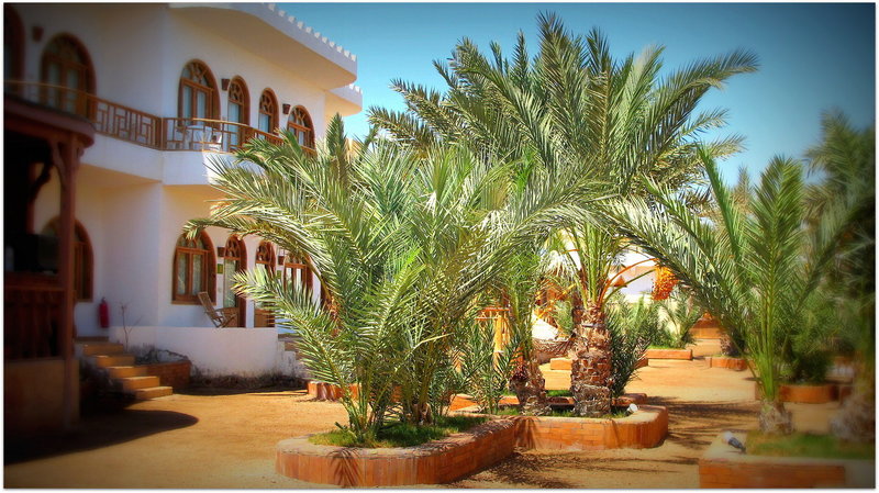 Shams Hotel And Dive Centre