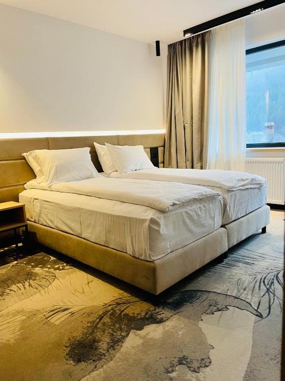 Hotel Alexandrion Experience ( Fostul New Montana)