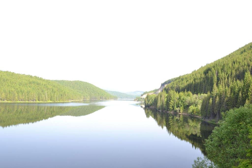 Hotel Zan Hotel Voineasa