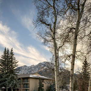 Hotel Peaks Hotel And Suites cazare Banff