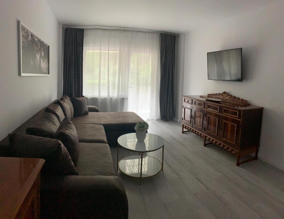 Apartament Herculane Andra