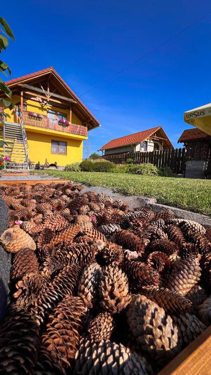 Hotel Casa Ferenczi Vendégház